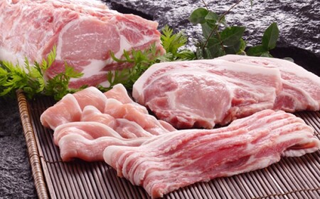 【 ノーベル 】 夢味ポーク ステーキ セット お肉 牛肉 ロース ヒレ ステーキ 