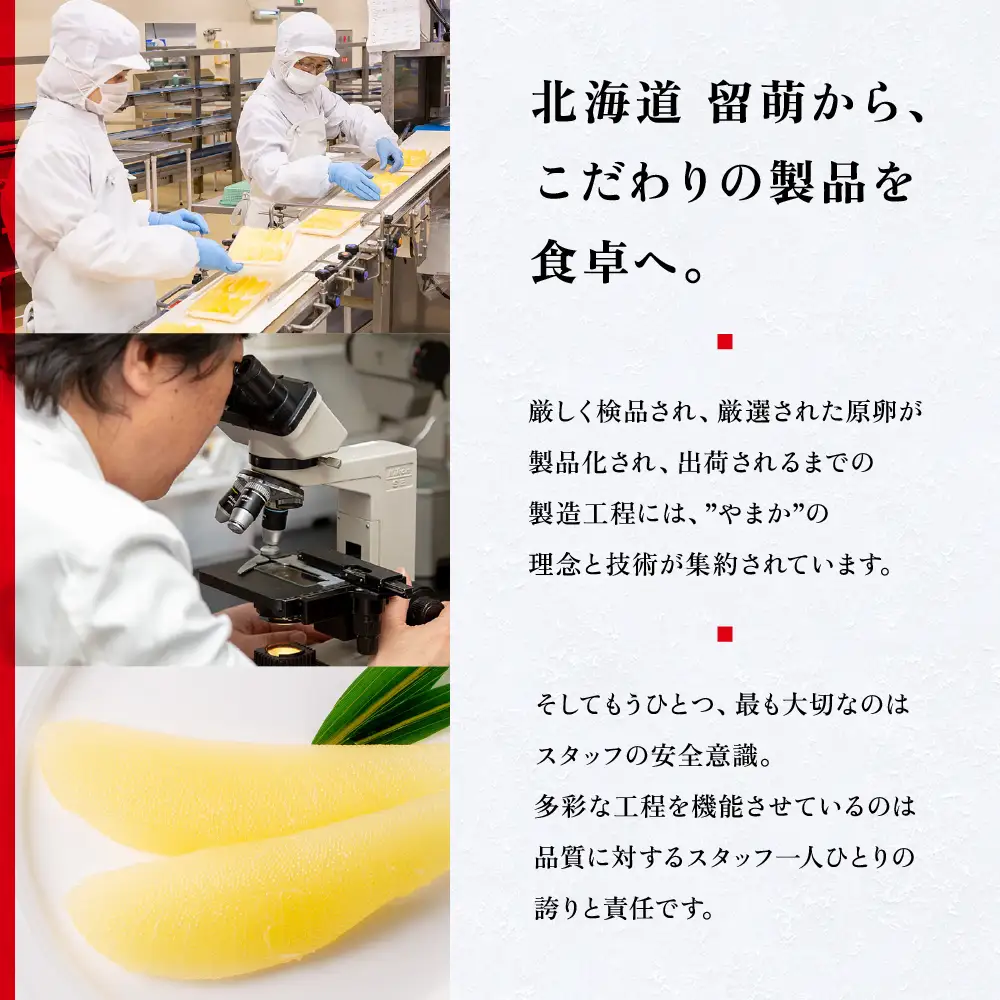 辛子明太子500g 【やまか/紅艶美人】低温熟成 めんたいこ 北海道 R001-004