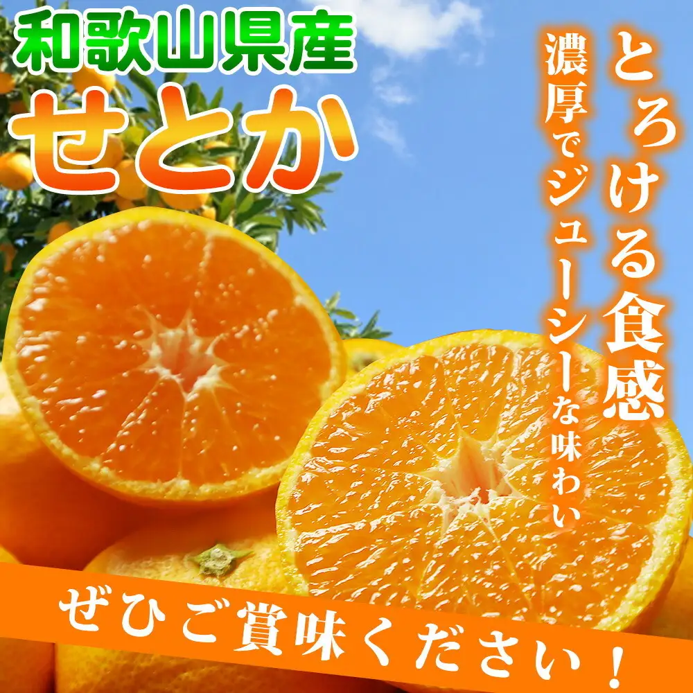 【2027年先行予約】とろける食感！ジューシー柑橘 せとか 2.5kg_G7349