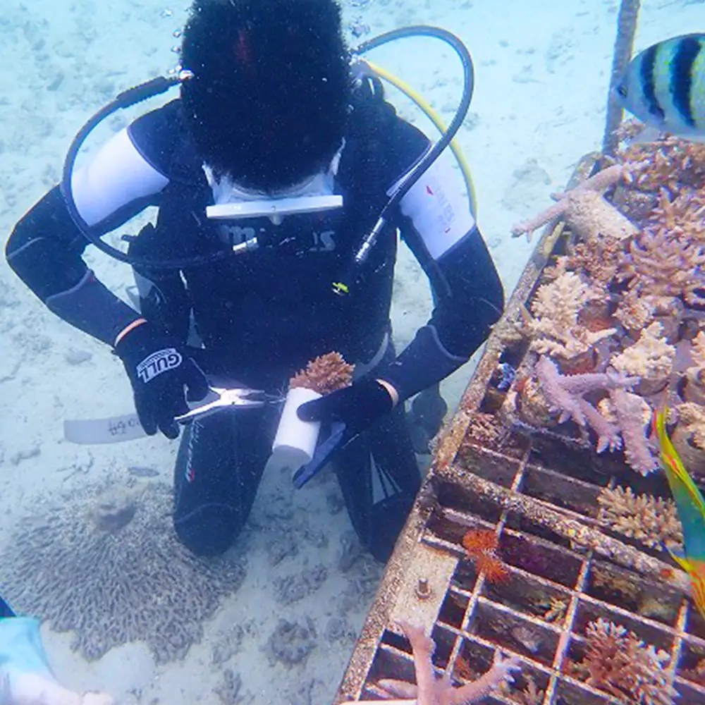 ボートで行く！ファンダイビング（5Dive）