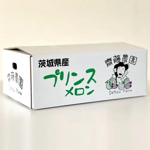メロン プリンスメロン 1箱 約5kg  7～8玉 八千代町産 先行予約