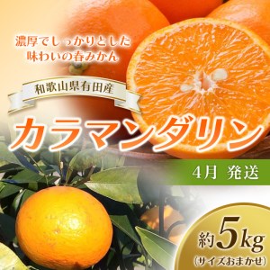 【全3回】フルーツ定期便 季節の美味しさ詰合せ！/フルーツ 果物 カラマンダリン 不知火 キウイ 柑橘 旬 定期便【tkb151】
