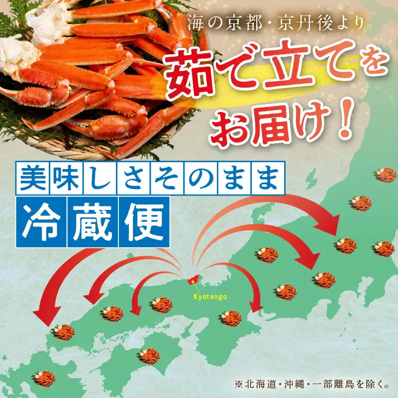 京丹後市 本ズワイガニ かに 2L 茹で 10肩 | かに