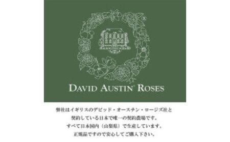 バラ鉢植え「ザ ミル オン ザ フロス」 SWBD005