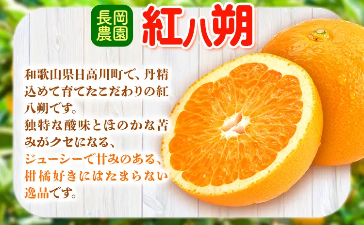 紅八朔 約10kg はっさく