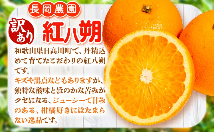 訳あり 紅八朔 約10kg はっさく