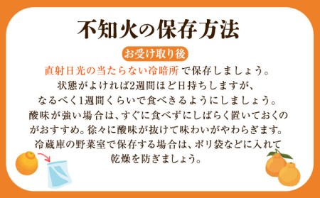 完熟 不知火 ( デコポン )と同品種 約10kg S～2L 家庭用 サイズ混合 横川果樹園 