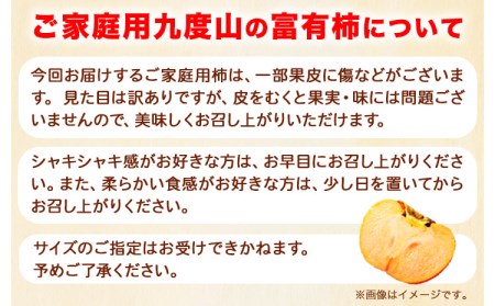 ご家庭用 九度山の富有柿 約7.5kg 柿