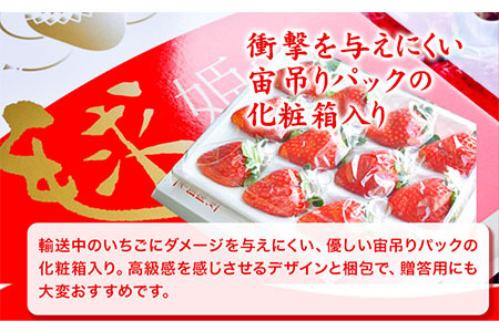 いちご 毬姫様 イチゴ まりひめさま 約450g みはらファーム