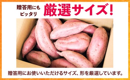 和歌山県のサツマイモ 厳選サイズ 5kg みはらファーム さつまいも