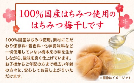 紀州南高梅 はちみつうす塩味完熟梅干し 無選別 1kg