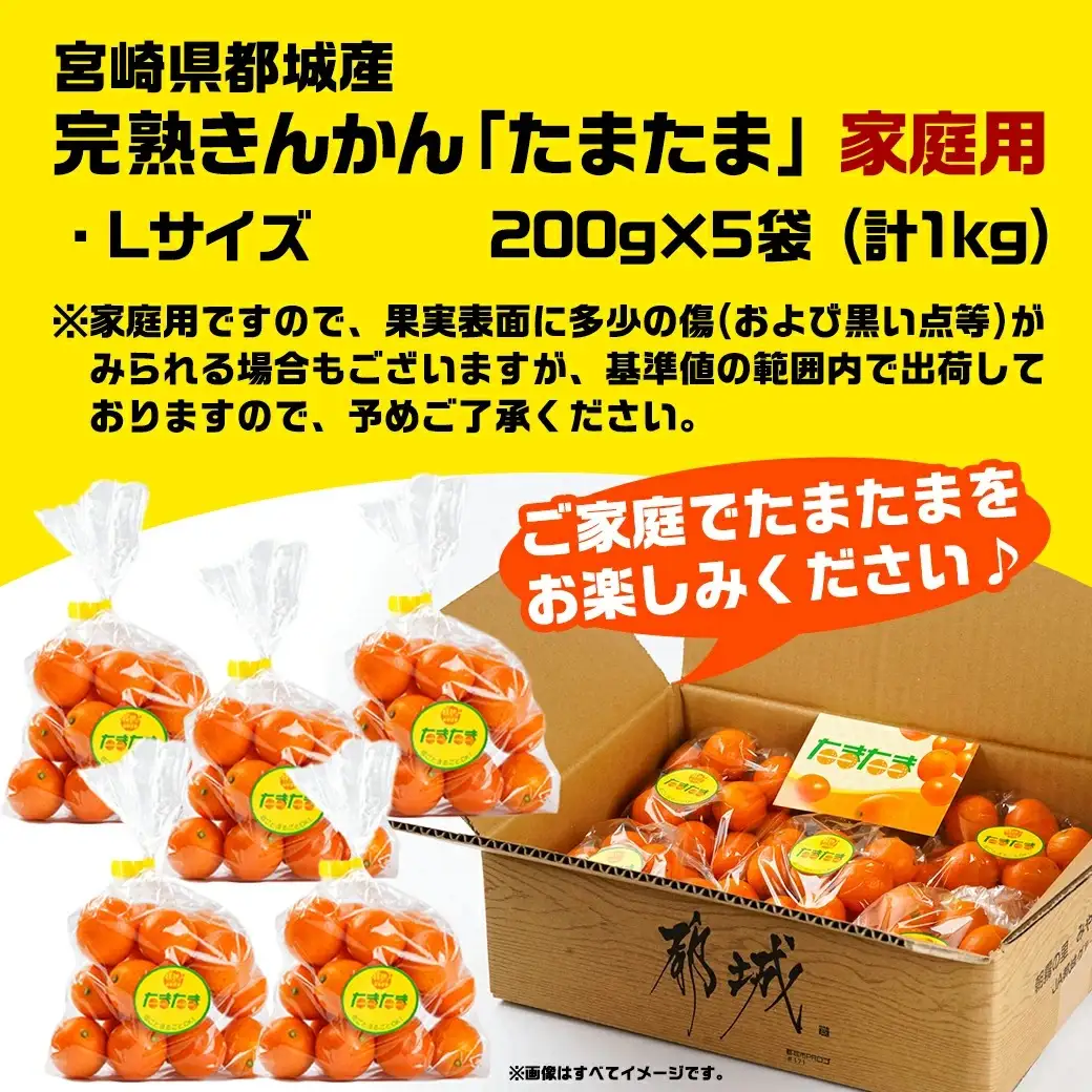 《先行受付!》 【家庭用】宮崎ブランド完熟きんかん「たまたま」1kg〔01-012〕_(都城市) みやざきブランド 完熟きんかん たまたま Lサイズ 家庭用 糖度【16度以上】大きさ【直径2.8cm以上】