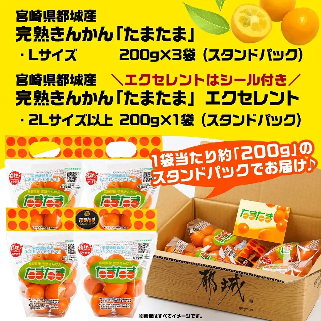 《先行受付!》 完熟きんかん「たまたまL」&「たまたまExcellent」 計800g (スタンドパック入り)〔01-010〕_(都城市) みやざきブランド 完熟きんかん  たまたま 糖度16度以上 大きさ直径2.8cm以上 金柑たまたまの最高峰 エクセレント 糖度18度以上 サイズ2L以上