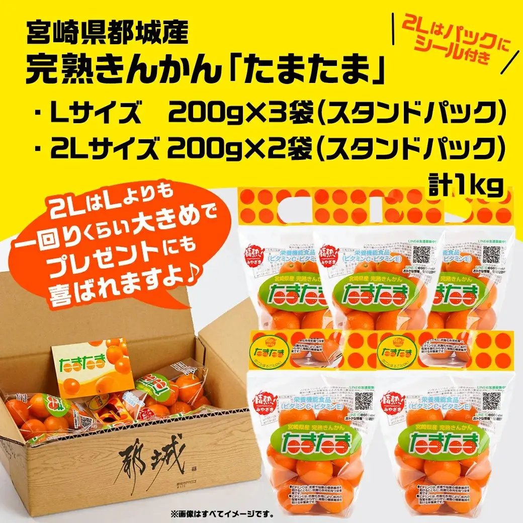 《先行受付!》 完熟きんかん「たまたまL&2L」 計1kg (スタンドパック入り)〔01-011〕_(都城市) みやざきブランド 完熟きんかん たまたま Lサイズ 2Lサイズ スタンドパック