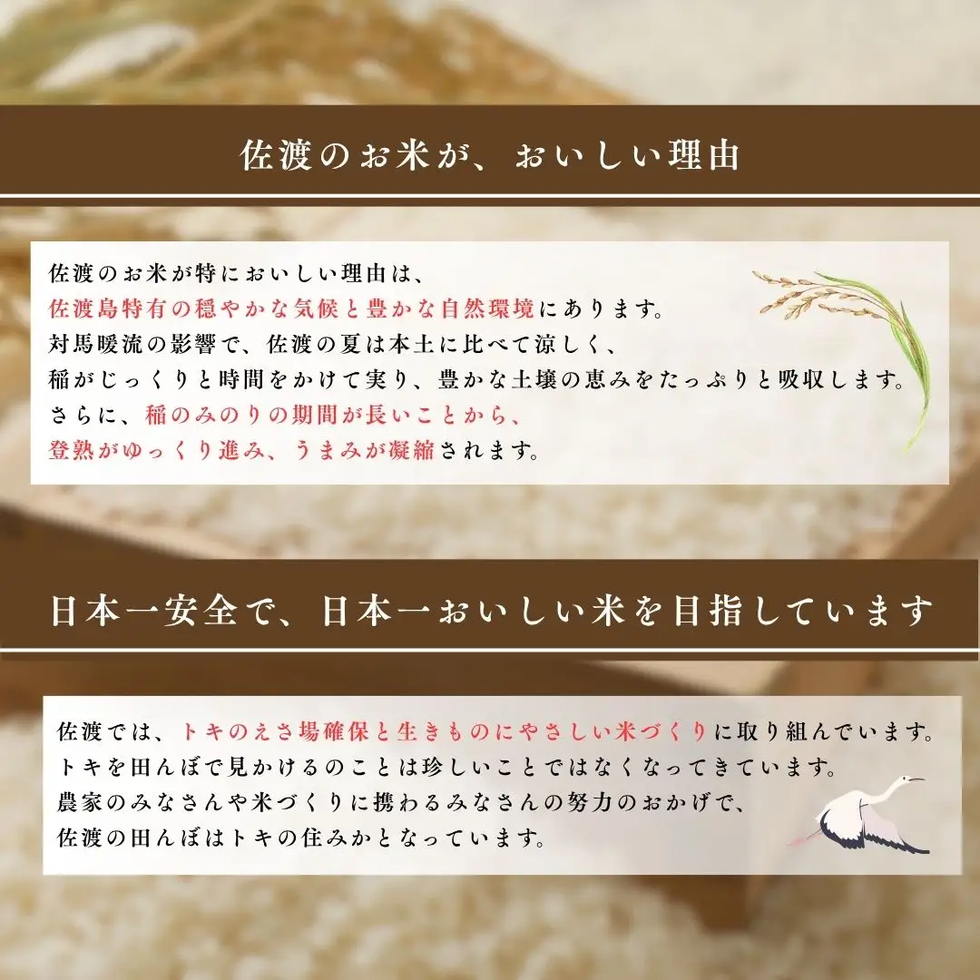 佐渡発酵 佐渡産コシヒカリ精米5kg 【令和7年米】