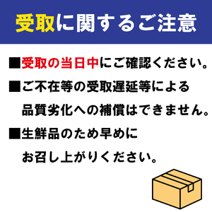 【先行予約】 特秀品 丸亀産 梨 約2kg 梨 なし