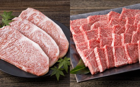 伊万里牛美味プレミアム 定期便  10回便 ヒレ ステーキ 焼肉 すき焼き しゃぶしゃぶ 999-J620