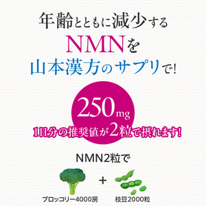 NMN 山本漢方製薬 βーNMN NMNサプリメント NMN60粒 [027Y10]