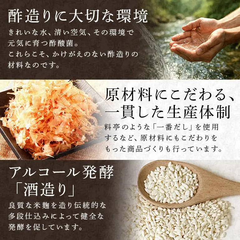 内堀醸造 家族で楽しむお酢セット フルーツビネガー 酢 詰め合わせ