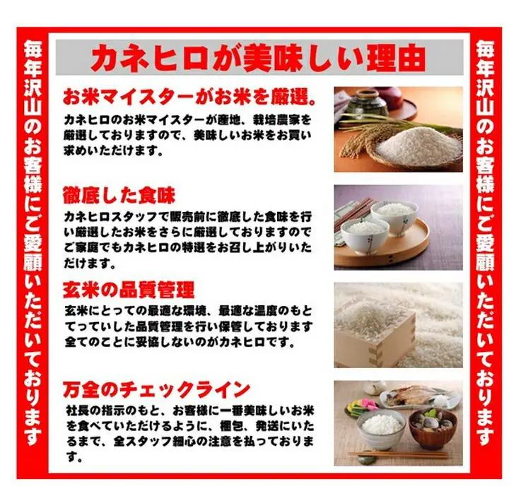 川越でとれたお米　10kg ／ 白米 埼玉県 こしひかり 彩のきずな主体のブレンド米