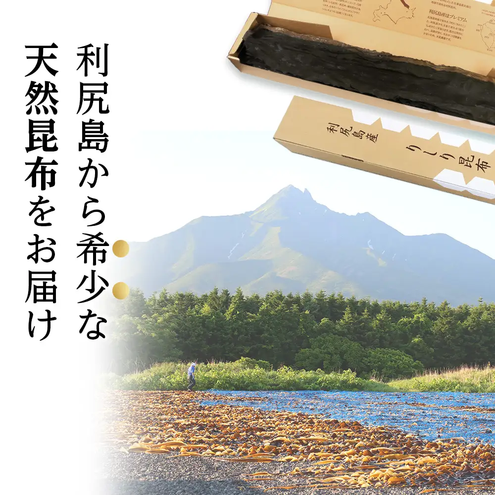 【3年熟成】天然長切昆布三等　1kg《昆布屋神兵衛》