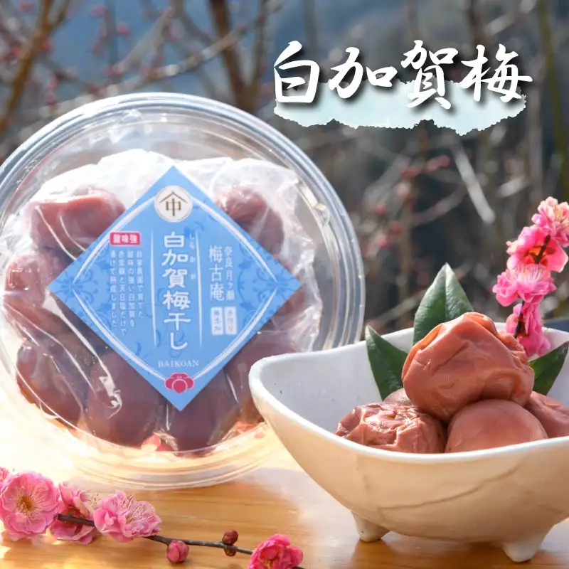 梅 梅干し 日本唯一！烏梅職人手づくり 七百年の伝統 本物梅づくし（竹）味比べ5点セット 無添加 25-038