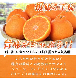 【2027年先行予約】デコポン 紀州デコ 3kg 完熟 濃厚 国産 紀州 有田 不知火 柑橘 果物 果実 フルーツ 柑橘の王様 まろやか 甘い ジューシー コク プリプリ 果肉 お取り寄せ 和歌山県 湯浅町 送料無料_G7360