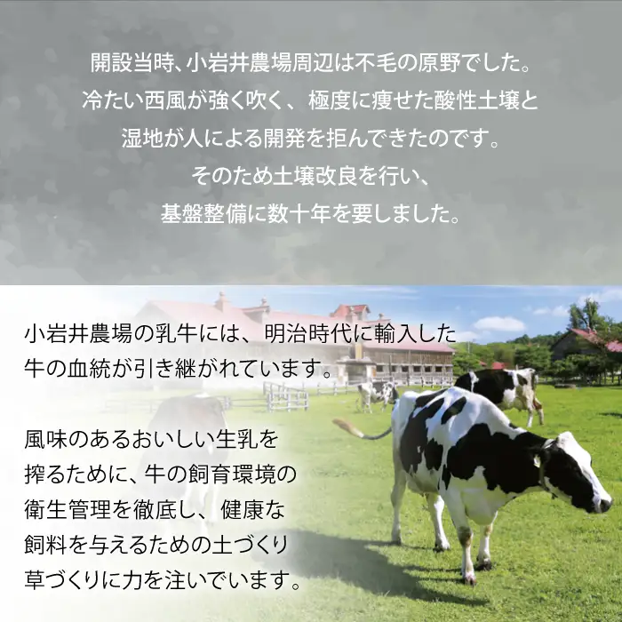 小岩井農場 小岩井純良バター 復刻版ラベル 3個 セット ／ 人気 バター 醗酵バター 本格派 ヨーロッパタイプ 限定品 限定ラベル 乳製品 個包装 小分け お取り寄せ ギフト プチギフト 贈答用 贈り物 プレゼント お祝い パーティー お土産 手土産 誕生日 記念日 冷蔵 おすすめ