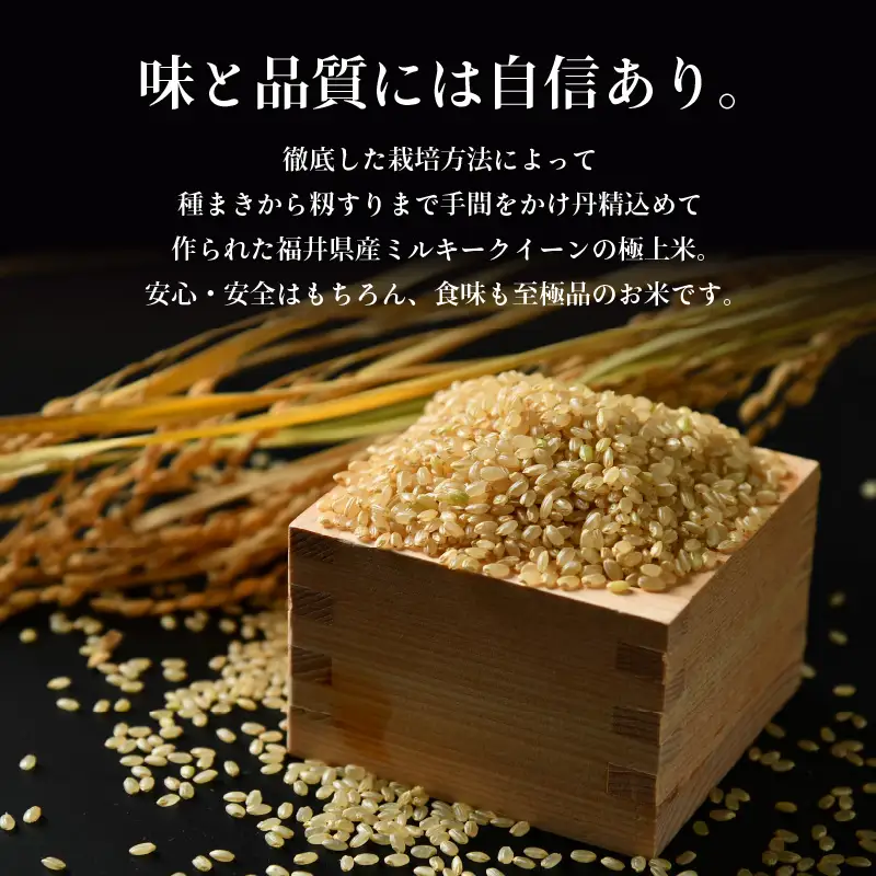 【先行予約】【令和8年産 新米】 ミルキークイーン 玄米 5kg 特別栽培米 農薬不使用 化学肥料不使用 ／ 高品質 鮮度抜群 福井県産 ブランド米 ※2026年10月上旬以降順次発送 [aw063-a007]