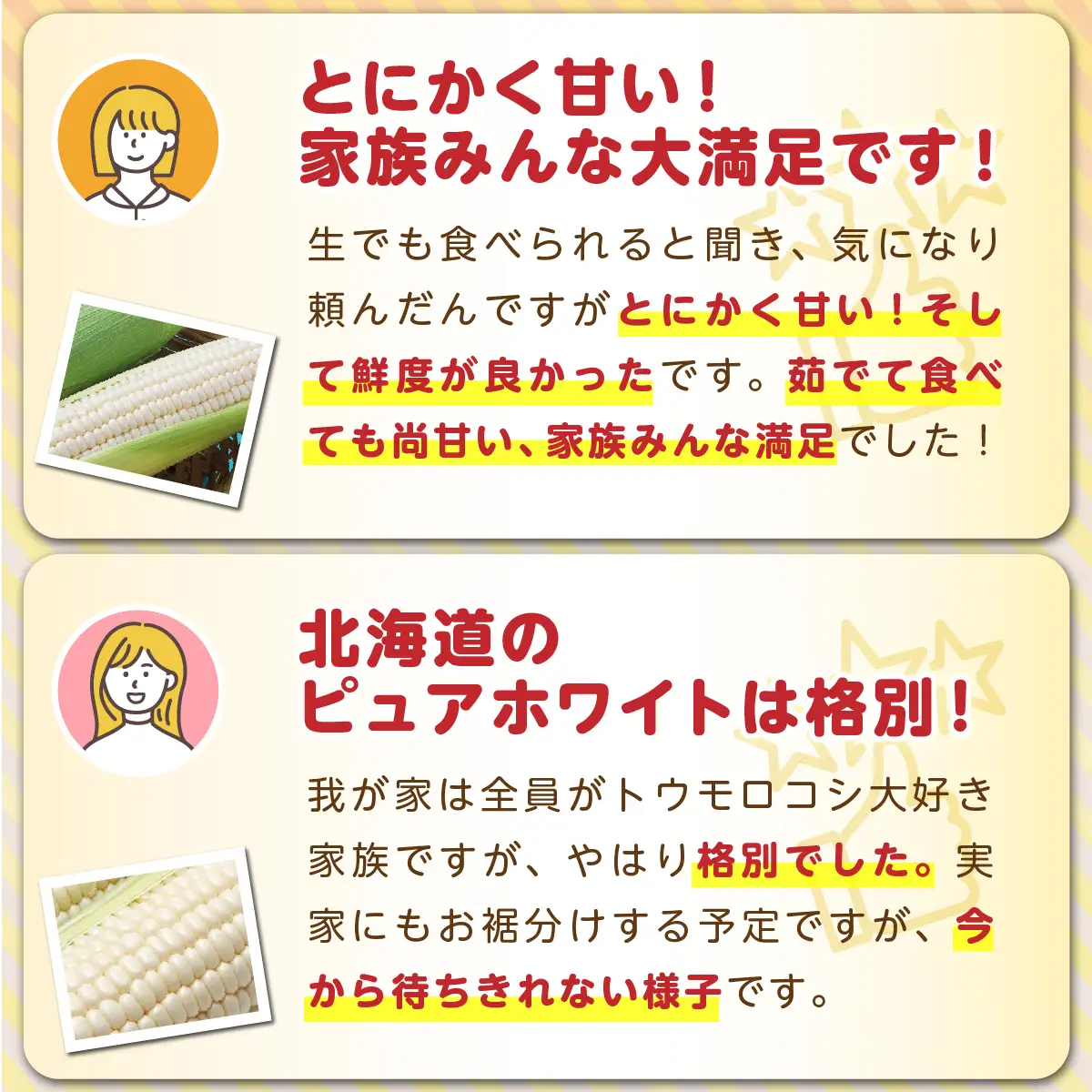 ＜2026年8月中旬よりお届け＞【朝採り】北海道壮瞥町 ホワイトコーン「ピュアホワイト」Lサイズ以上22本（約10kg） SBTQ002