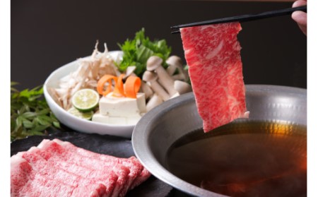 佐賀牛ローススライス 500g (500g×1パック） すき焼き しゃぶしゃぶ 焼肉におすすめ 150-J736