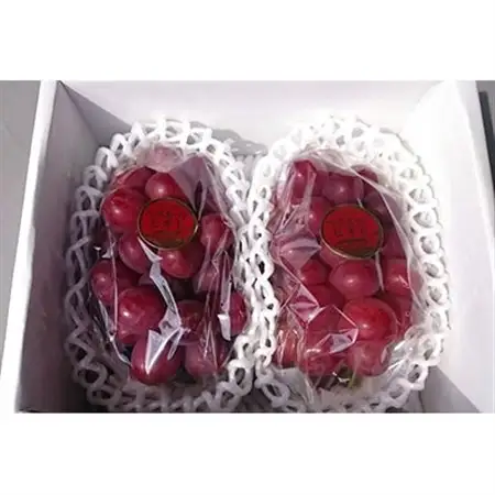 パリッと皮ごと食べられるマスカットビオレ1.3kg_果物・フルーツ ぶどう・マスカット  ブドウ 葡萄 _【配送不可地域：離島】【1073055】