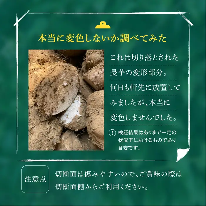 2026年12月上旬より発送！訳あり 土付き長芋（4kg）｜国産野菜 とろろご飯におすすめ！「マル庄」