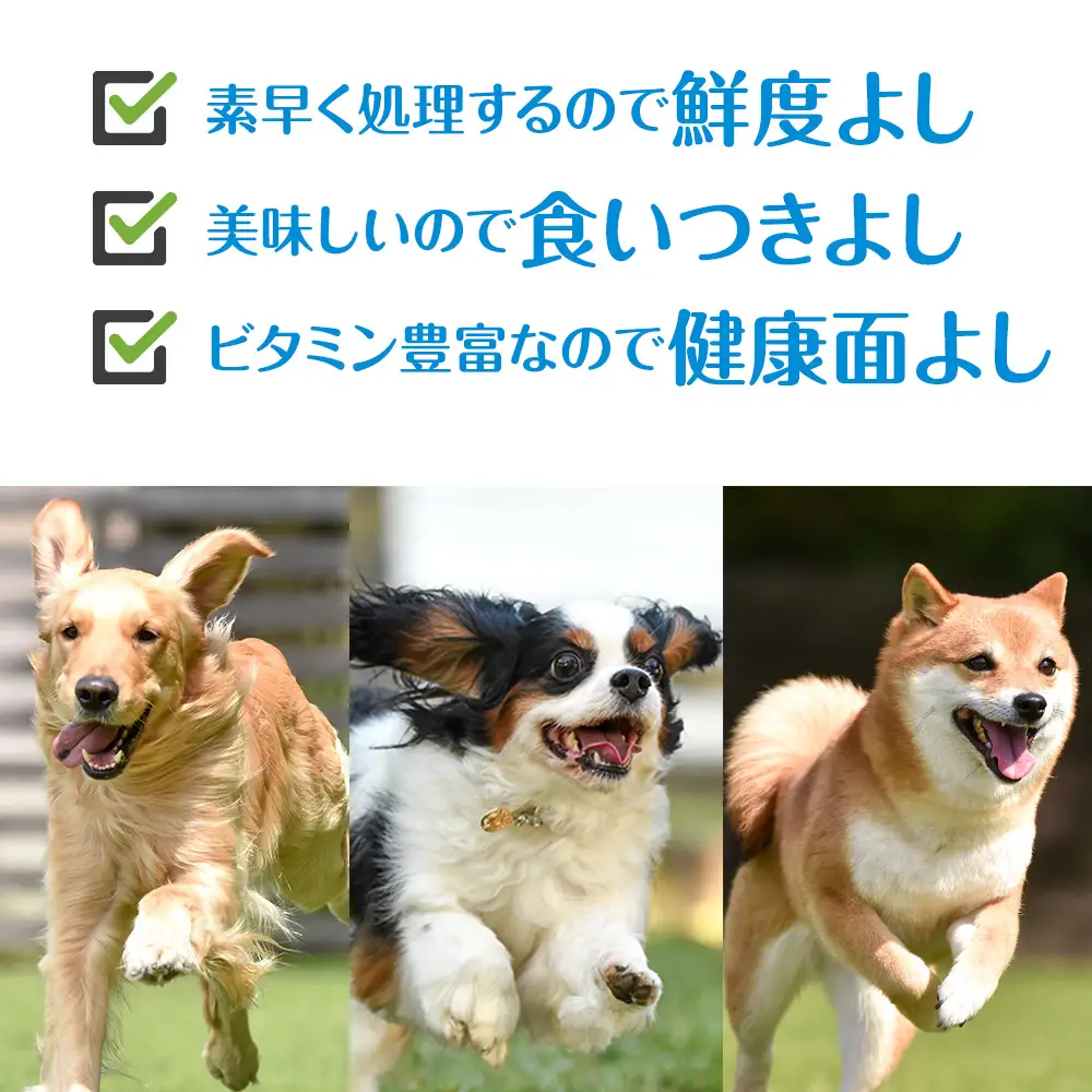 犬 おやつ 無添加 国産 エゾ鹿肉 ジャーキー (150g)