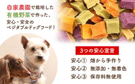 わんこのサラダ 6種セット 『Dog Garage (ドッグガレージ)』 山形県 南陽市 [1823]