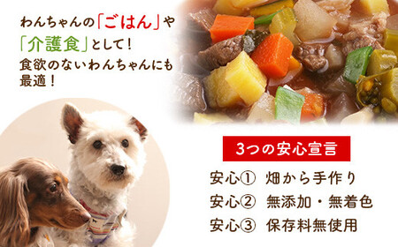 わんこのグルメ・ふりかけ 8点セット (レトルト・常温) 『Dog Garage (ドッグガレージ)』 山形県 南陽市 [1824]