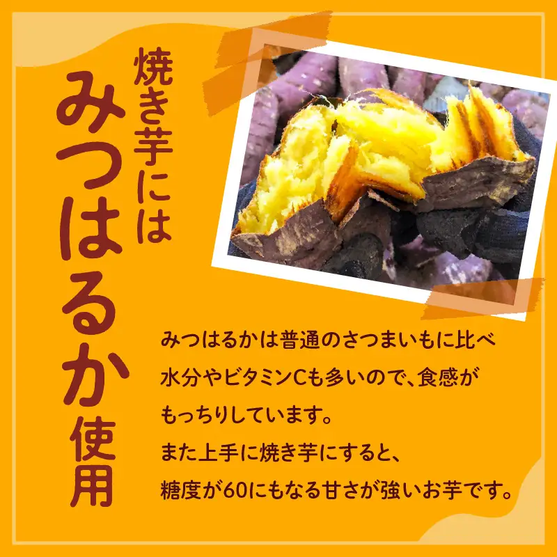 冷凍 熟成焼き芋みつはるか K169-001