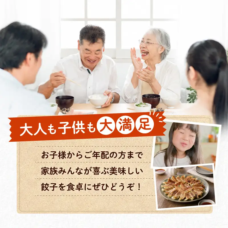 国産素材にこだわった黒豚餃子120個 K111-015 肉 豚肉 惣菜 総菜 冷凍