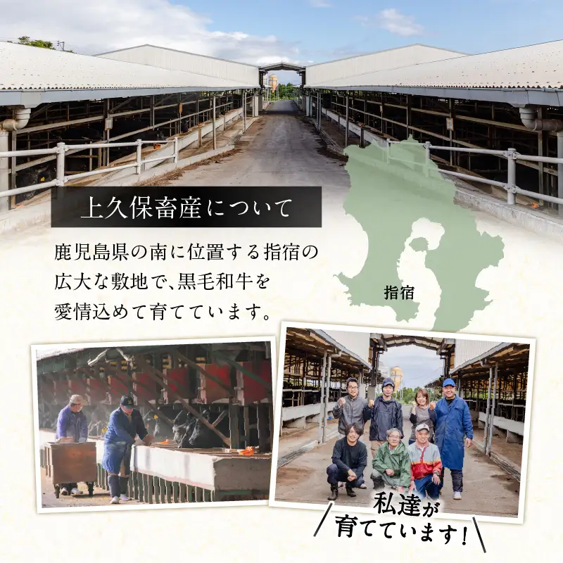 黒毛姫牛 三角 バラ ・ 肩 ロース 焼肉 セット K328-009 肉 牛肉 冷凍