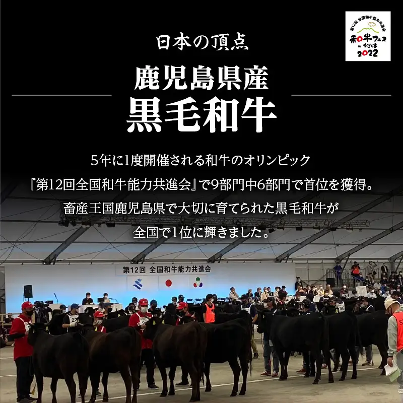 鹿児島県 産 黒毛和牛 上 ホルモン 1kg K328-012 肉 牛肉 冷凍