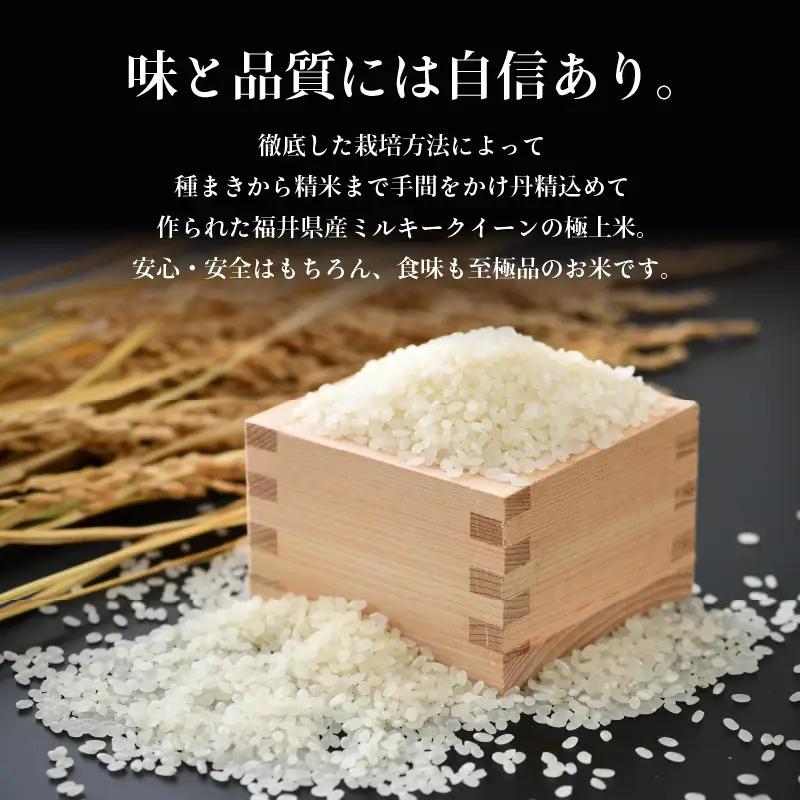 【先行予約】【令和8年産 新米】定期便《12ヶ月連続お届け》 特別栽培米 ミルキークイーン 精米 5kg (計60kg) 農薬不使用 化学肥料不使用 ／ 高品質 鮮度抜群 福井県産 ブランド米 白米 あわら産 ブランド米 ※ 2026年10月上旬以降順次発送 [aw063-o004]