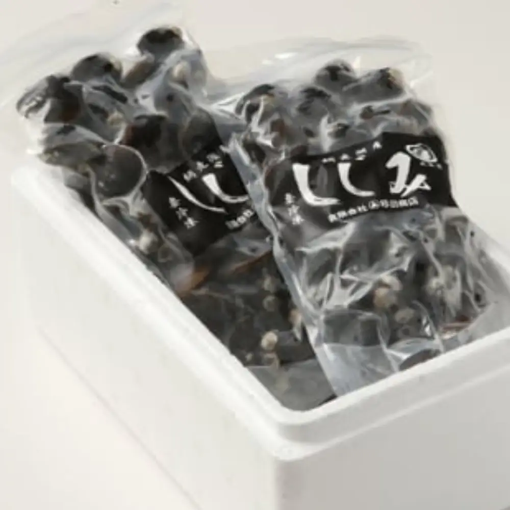 厳選！網走湖産大粒天然大和しじみ1.5kg  OSA010 | しじみ