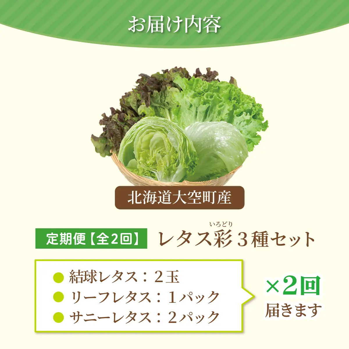 【定期便】レタス彩(いろどり)3種セット全2回（2026年9月以降順次発送）  OSU002