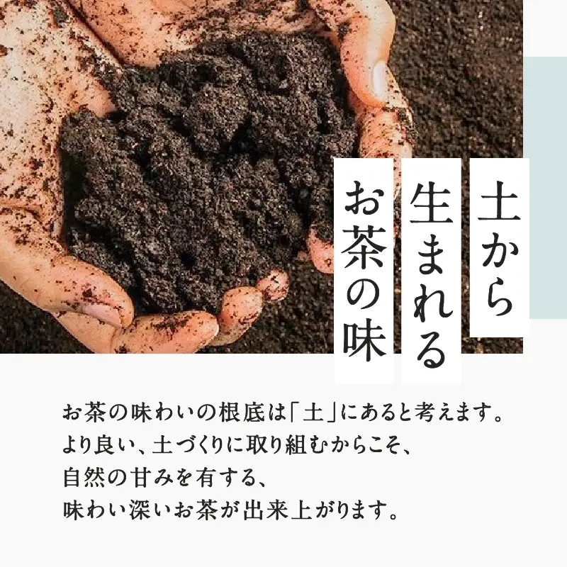  鹿児島特上深蒸し 煎茶 彩緑天 3本 セット K112-002