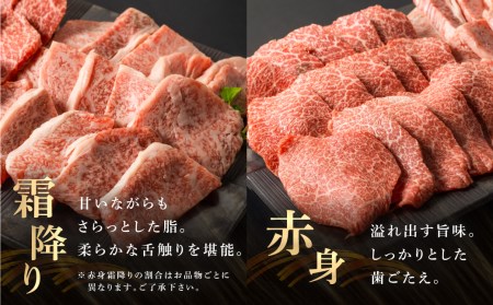 飛騨牛 霜降り／赤身 焼き肉 計1kg 飛騨牛 [EN023]