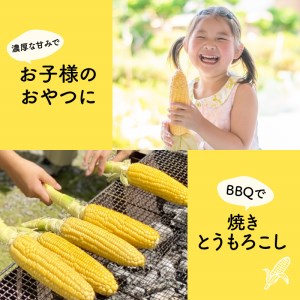 喜入のスイートコーン 4.5kg～5kg K141-003