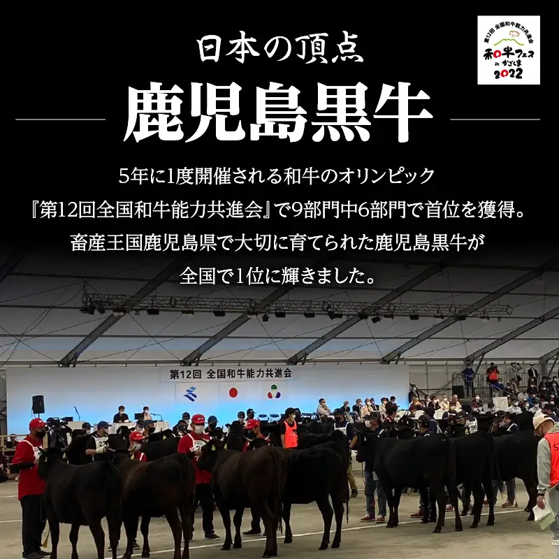 （E-1301）鹿児島黒牛すきやき食べ比べセット 計1.2kg K127-005 肉 牛肉 冷凍