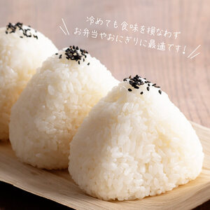 【令和8年産】村井農園産ミルキークイーン（精米）2kg 【 米 お米 白米 精米 ミルキークイーン 国産 宮崎県産 おにぎり 】