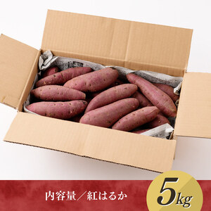 【令和８年産】紅はるか 5kg 【 宮崎県産 九州産 いも 芋 サツマイモ 野菜 】