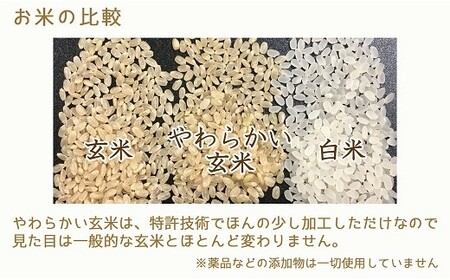 やわらかい玄米 900g×4袋　※定期便6回　小分け 米 こめ コメ ごはん 栄養豊富 簡単 便利 美容 健康 新食感 もちもち 安心安全なヤマトライス H074-704